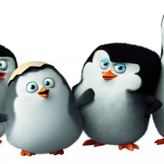 Penguins of Madagascar 4k wallpaper