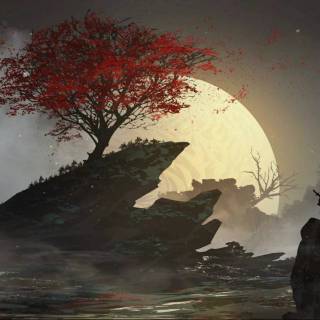 Samurai Sakura wallpaper