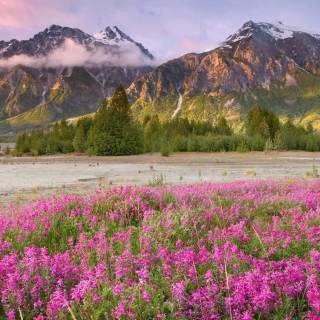 Fields desktop wallpaper