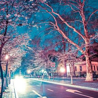 Japan anime iPhone wallpaper