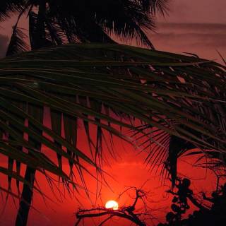 iPhone beach sunset wallpaper