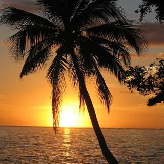 iPhone beach sunset wallpaper