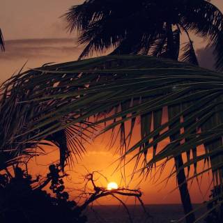 iPhone beach sunset wallpaper