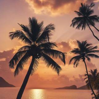 iPhone beach sunset wallpaper