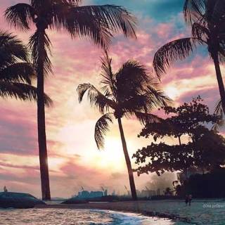 iPhone beach sunset wallpaper