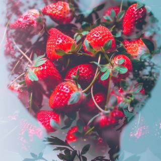 Strawberry iPhone wallpaper