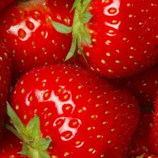 Strawberry iPhone wallpaper