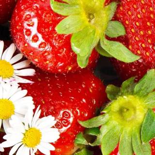 Strawberry iPhone wallpaper