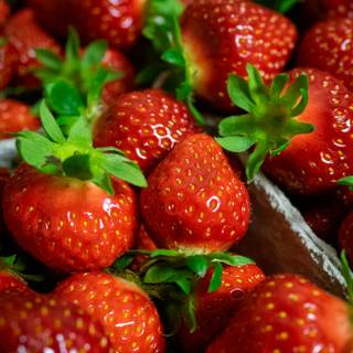 Strawberry iPhone wallpaper