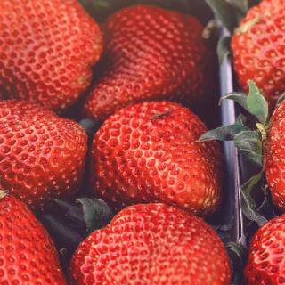 Strawberry iPhone wallpaper