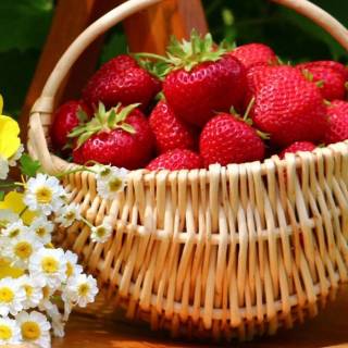 Strawberry iPhone wallpaper