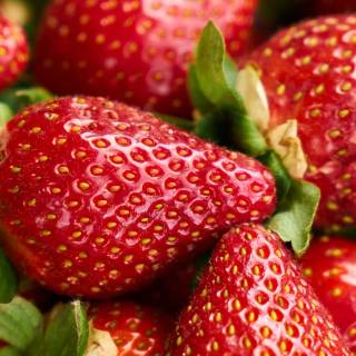 Strawberry iPhone wallpaper