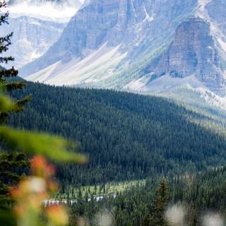 8k iPhone 13 wallpaper