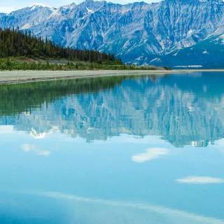 8k iPhone 13 wallpaper