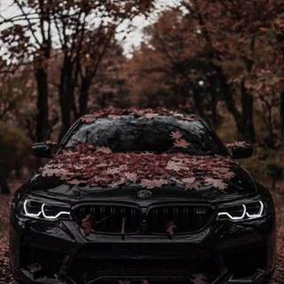 Black BMW phone wallpaper