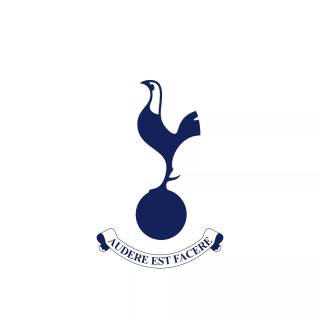 Tottenham Hotspur 4k wallpaper
