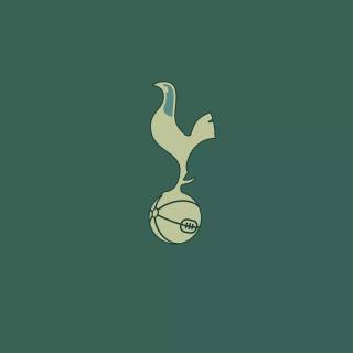 Tottenham Hotspur 4k wallpaper