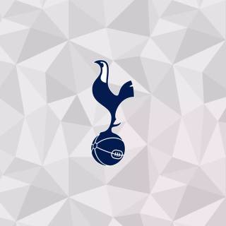 Tottenham Hotspur 4k wallpaper