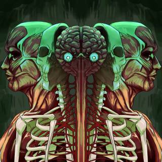 Human anatomy 4k wallpaper