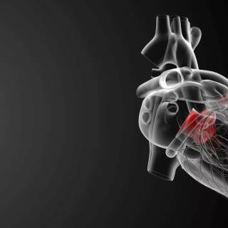 Medical PC wallpaper