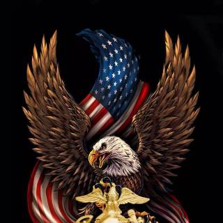 Eagle 4k phone wallpaper