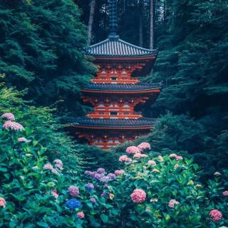 Japan nature phone wallpaper