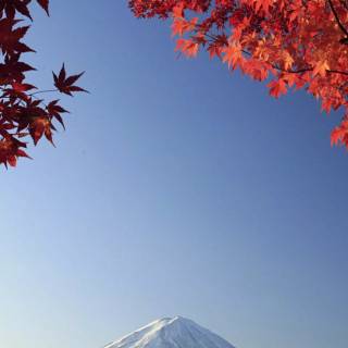Japan nature phone wallpaper