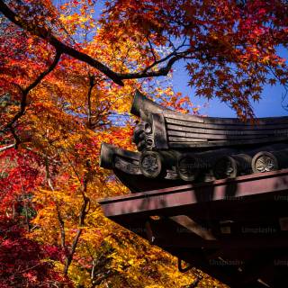 Japan nature phone wallpaper