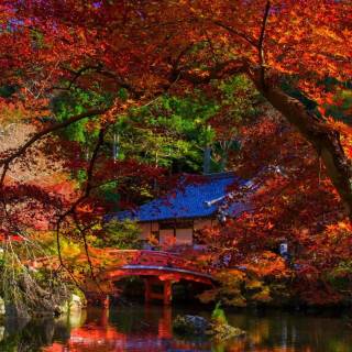 Japan nature phone wallpaper