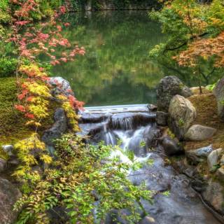 Japan nature phone wallpaper