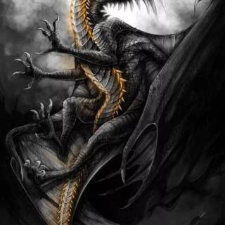 Black dragon phone wallpaper