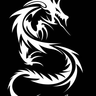 Black dragon phone wallpaper