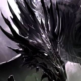 Black dragon phone wallpaper