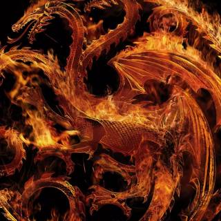 Black dragon phone wallpaper