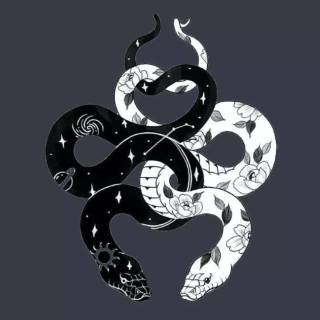 Black dragon phone wallpaper