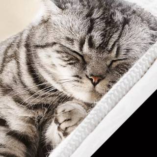 Sleep phone wallpaper