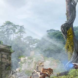 Aloy iPhone wallpaper