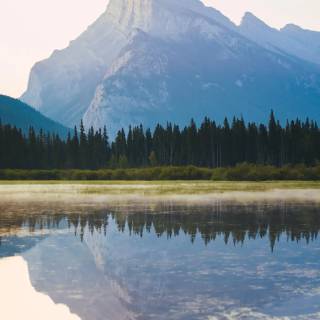 iPhone 12 Pro Max nature wallpaper