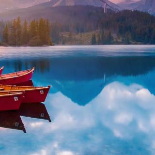 iPhone 12 Pro Max nature wallpaper