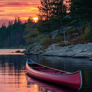 iPhone 12 Pro Max nature wallpaper