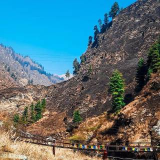 iPhone 12 Pro Max nature wallpaper