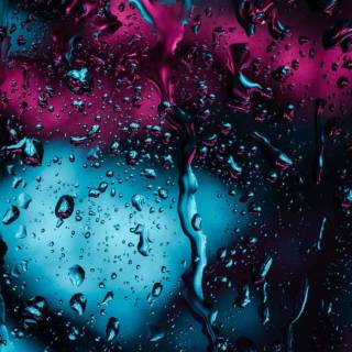 iPhone 12 Pro Max nature wallpaper