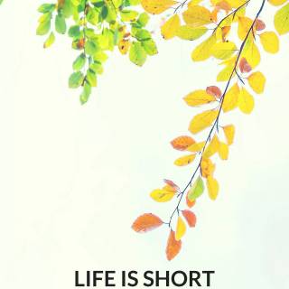 Lazy phone wallpaper