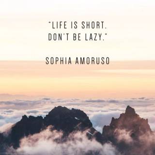 Lazy phone wallpaper