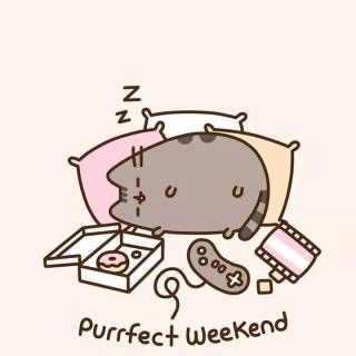 Lazy phone wallpaper