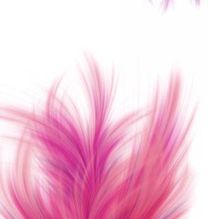 Feather phone wallpaper