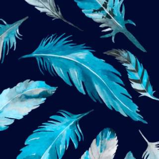 Feather phone wallpaper