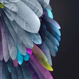 Feather phone wallpaper