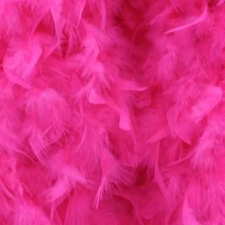 Feather phone wallpaper