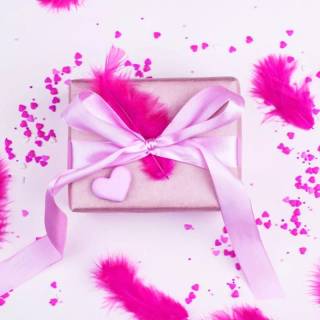 Feather phone wallpaper